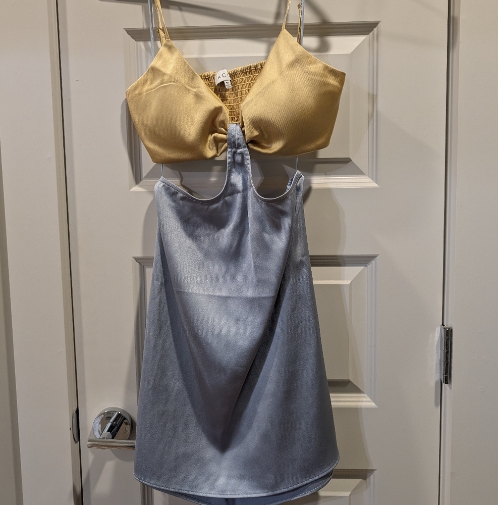 Chic Gold and Silver Two-Tone Dress